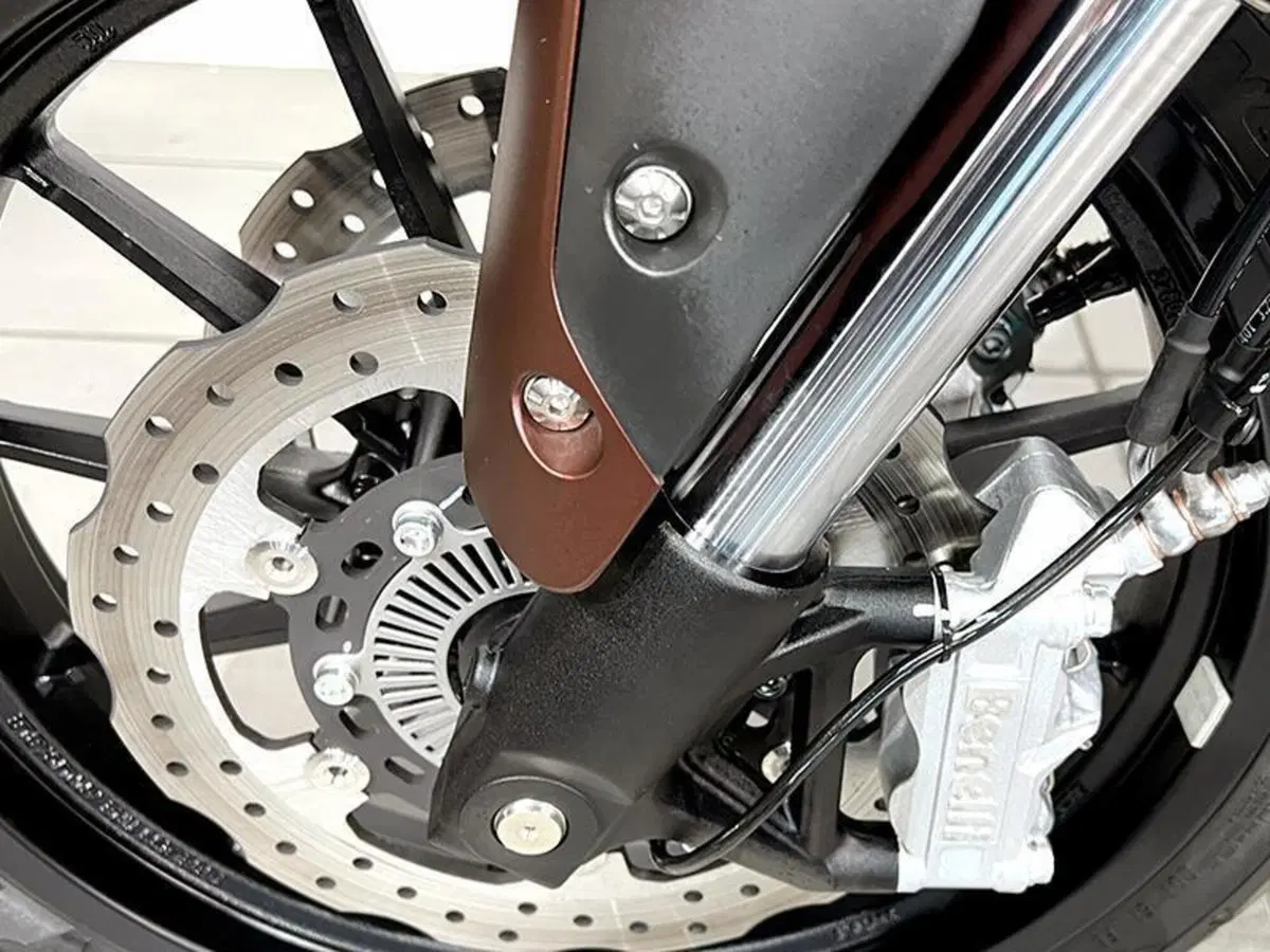 Benelli 502 C (2021 - 25) (4)