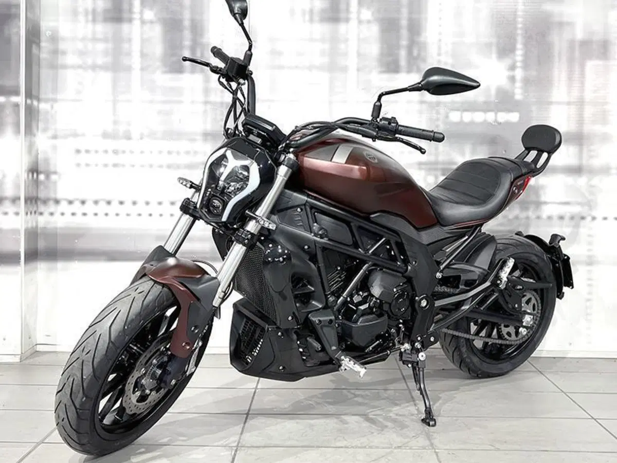 Benelli 502 C (2021 - 25) (6)