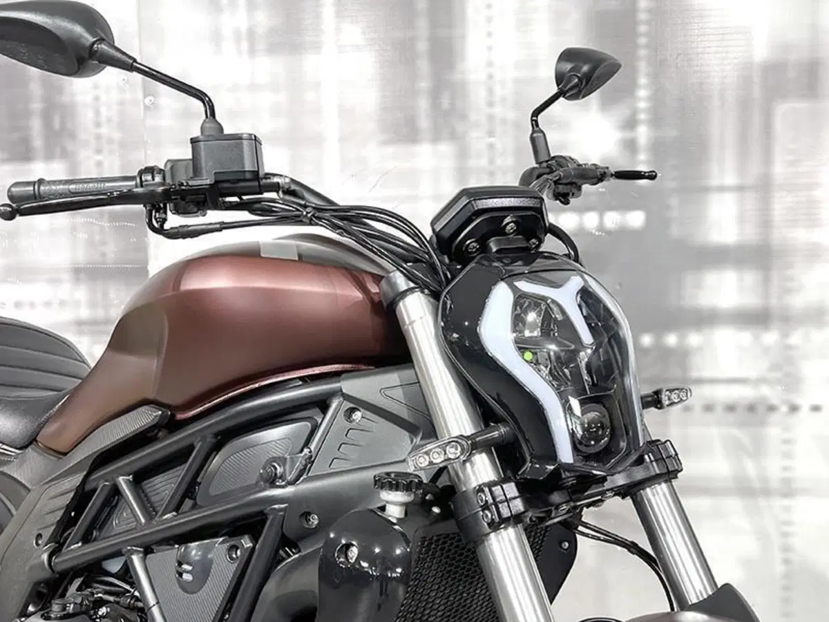 Benelli 502 C (2021 - 25) (8)