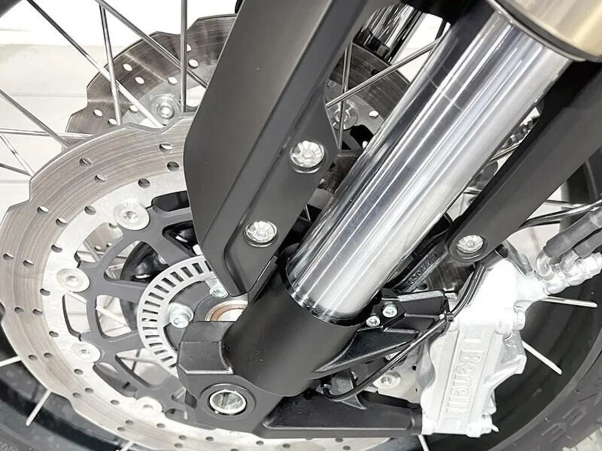 Benelli Leoncino 800 (2022 - 26) (4)