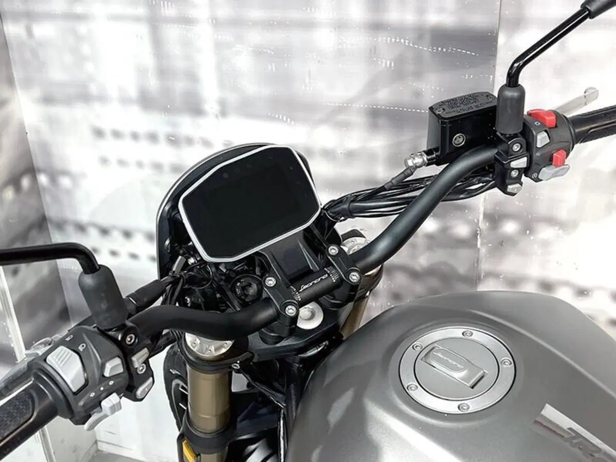 Benelli Leoncino 800 (2022 - 26) (5)