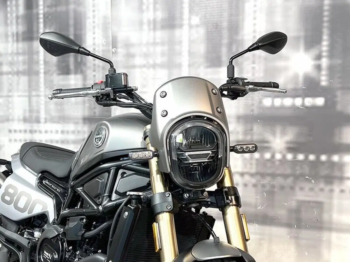 Benelli Leoncino 800 (2022 - 26) (8)