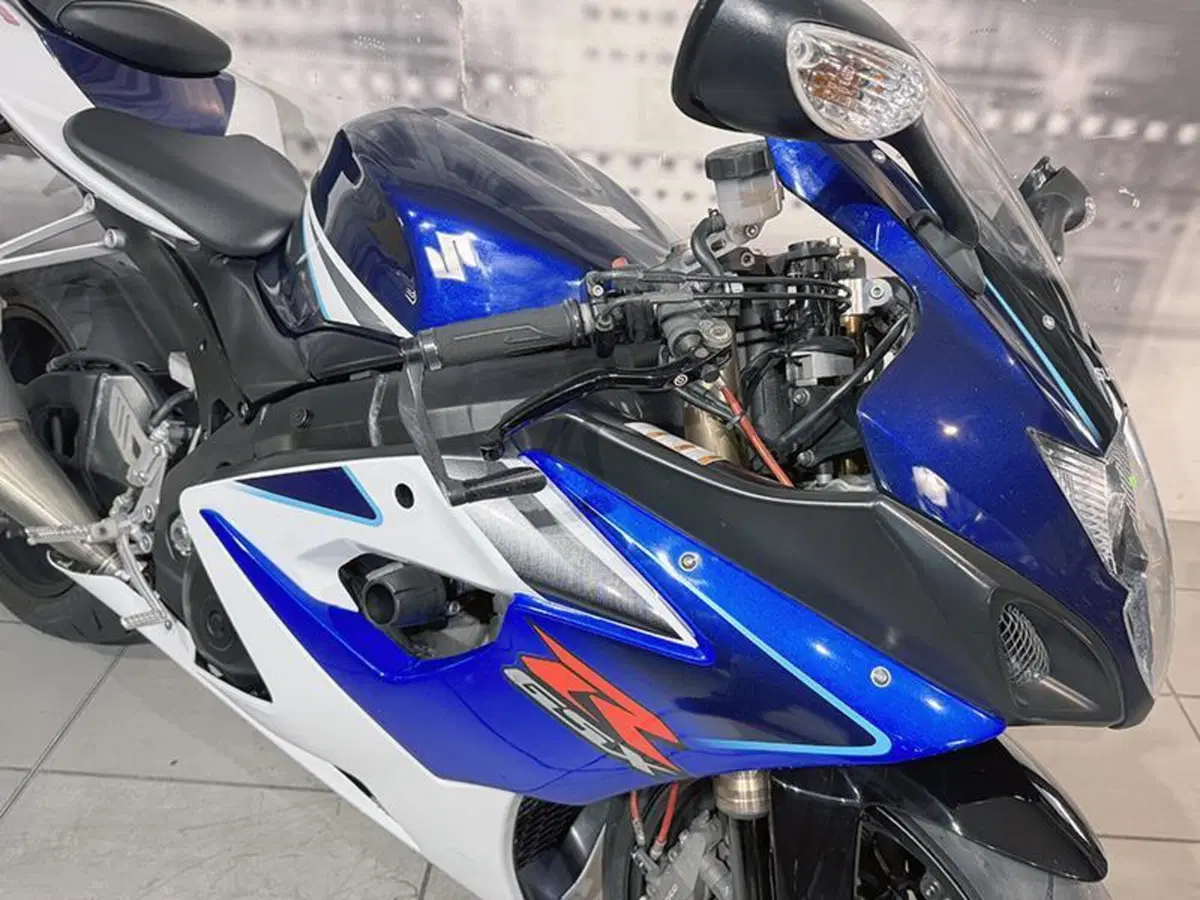 Suzuki GSX-R1000 (2005 - 06) (8)