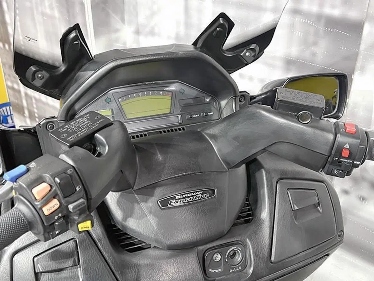 Suzuki Burgman AN 650 Executive ABS (2006 - 12) (6)