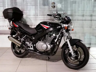 Suzuki GS 500 (2001 - 06) usata