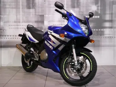 Suzuki GS 500 F (2004 - 06) usata