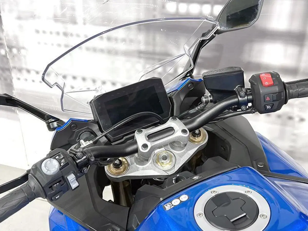 Suzuki GSX-S1000 (2021 - 25) (6)