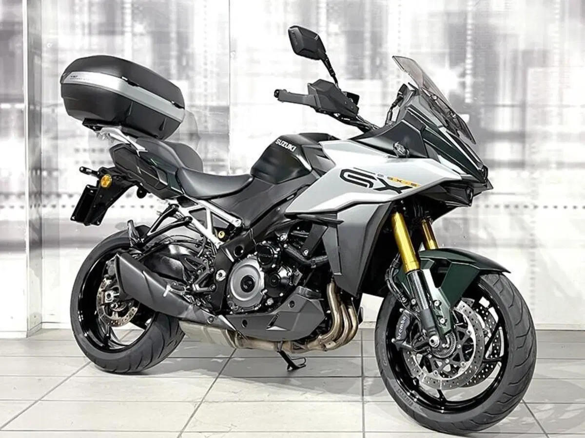 Suzuki GSX-S1000 (2021 - 25)