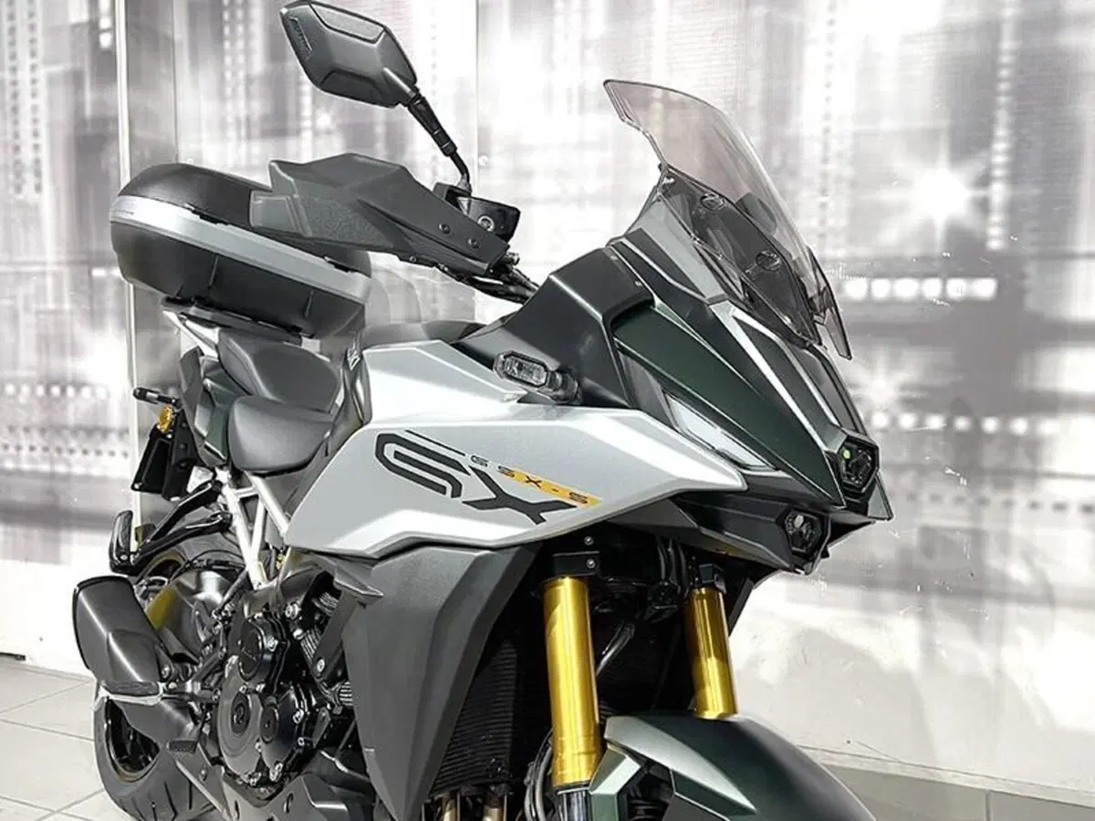 Suzuki GSX-S1000 (2021 - 25) (4)