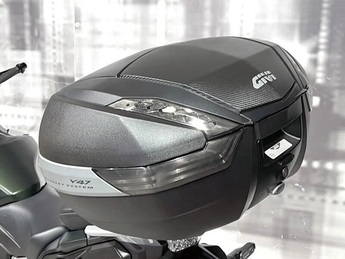 Suzuki GSX-S1000 (2021 - 25) (5)