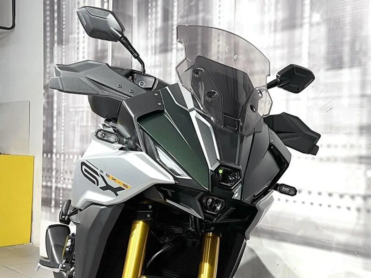 Suzuki GSX-S1000 (2021 - 25) (9)