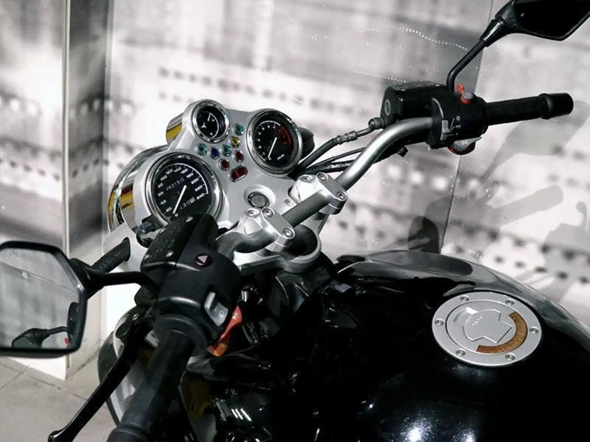 Bmw R 1150 R (2000 - 07) (5)