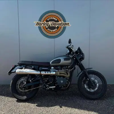 Triumph Scrambler (2006 - 17) usata