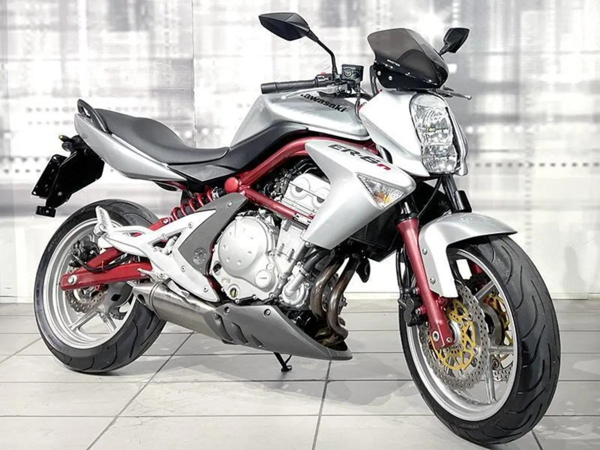 Kawasaki ER-6N (2005 - 08)