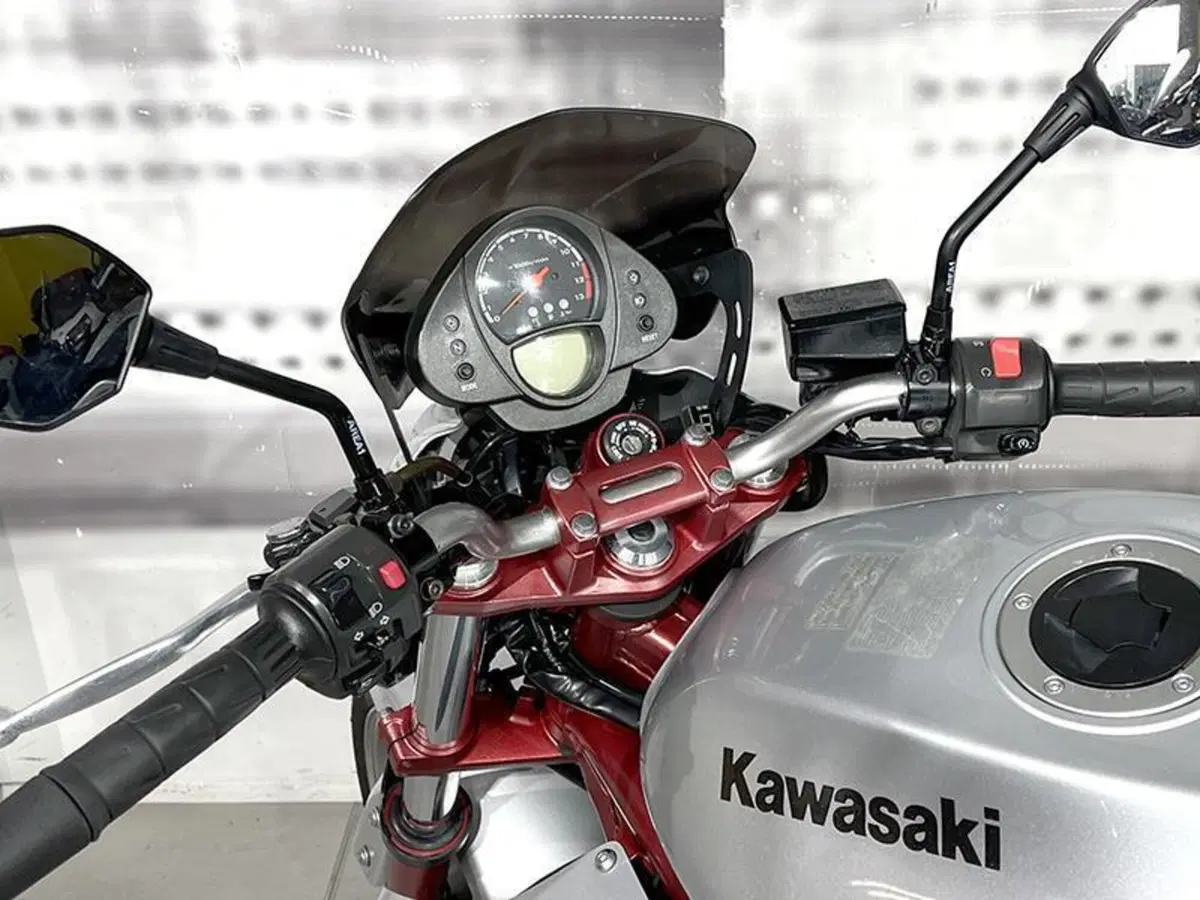 Kawasaki ER-6N (2005 - 08) (6)