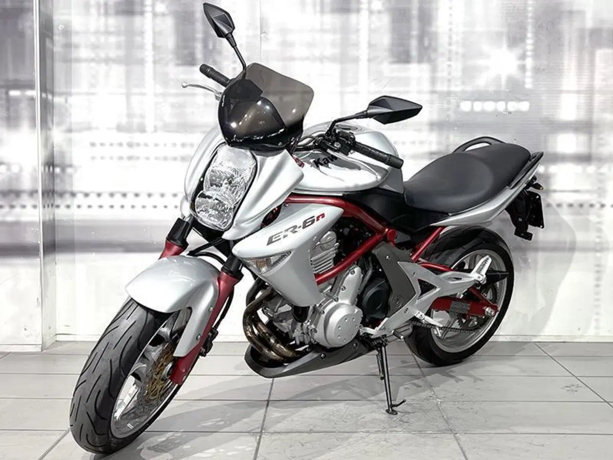 Kawasaki ER-6N (2005 - 08) (7)