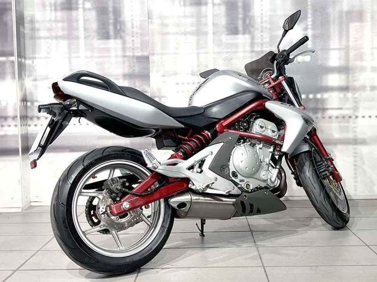 Kawasaki ER-6N (2005 - 08) (8)