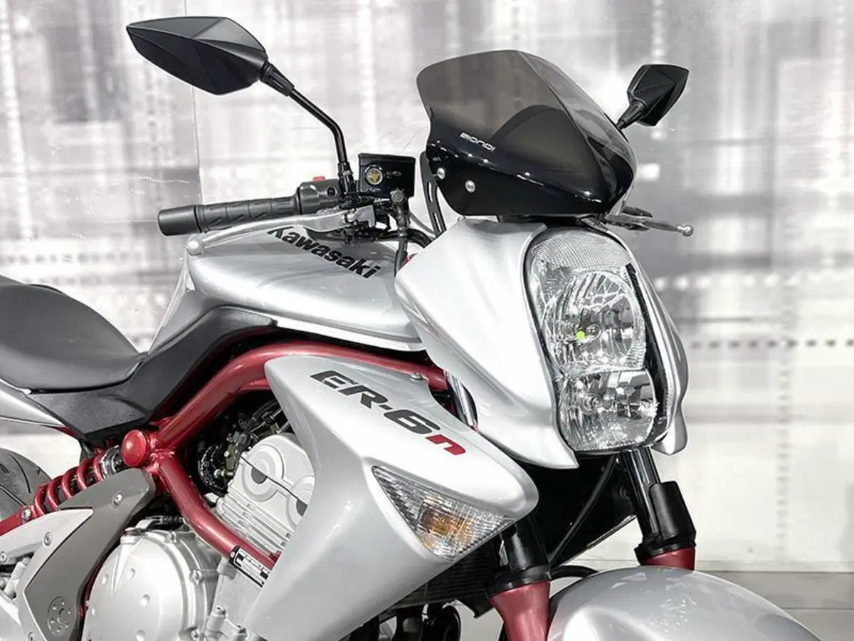 Kawasaki ER-6N (2005 - 08) (9)