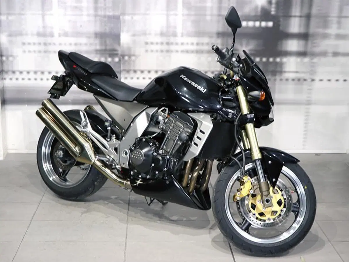 Kawasaki Z 1000 (2003 - 06)