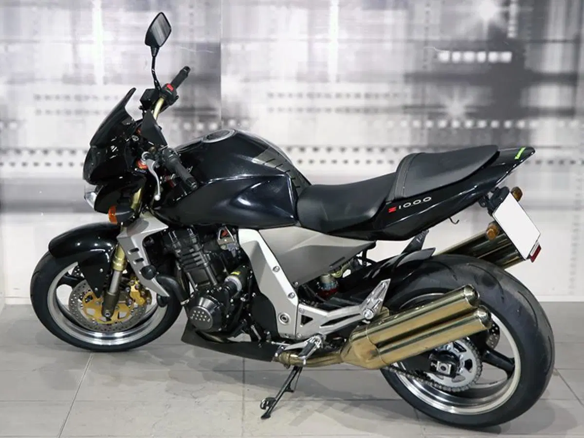 Kawasaki Z 1000 (2003 - 06) (2)