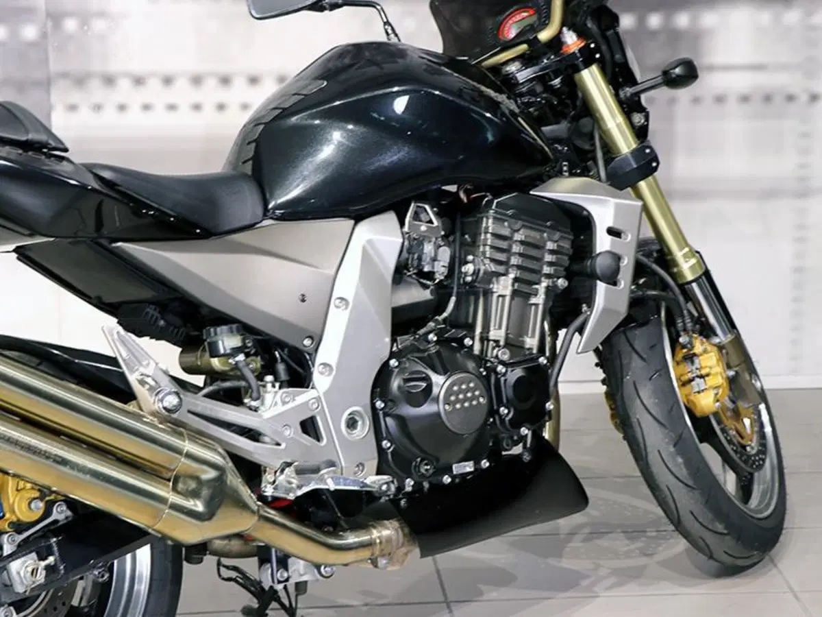 Kawasaki Z 1000 (2003 - 06) (4)