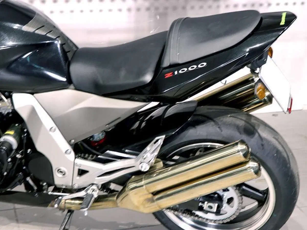 Kawasaki Z 1000 (2003 - 06) (6)