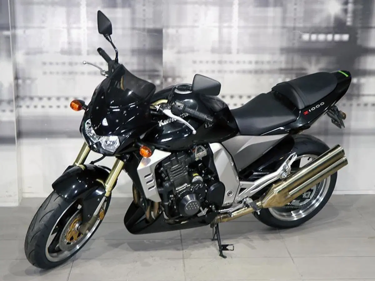 Kawasaki Z 1000 (2003 - 06) (7)
