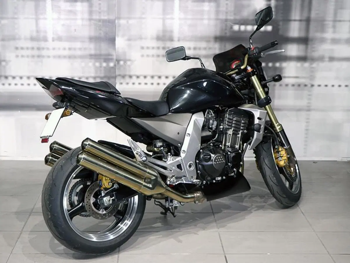 Kawasaki Z 1000 (2003 - 06) (8)