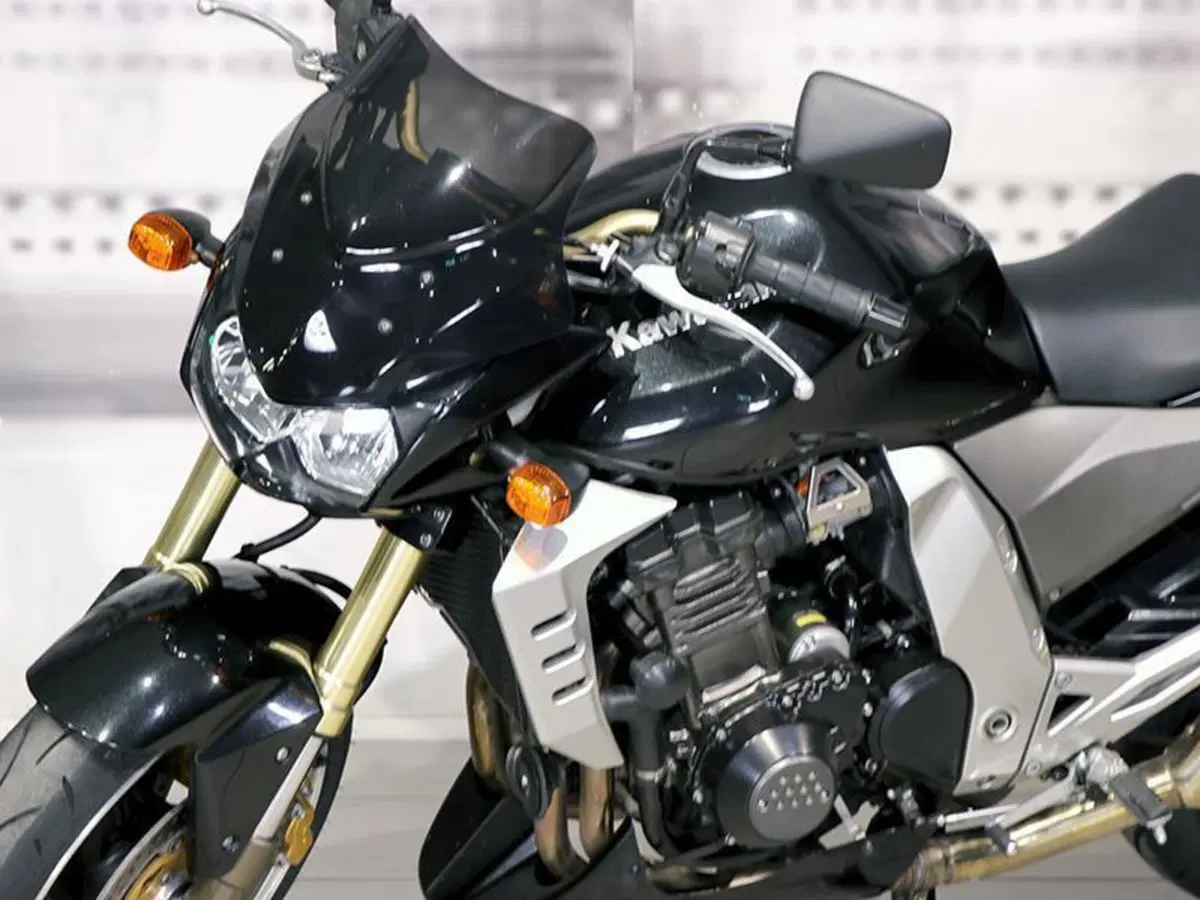 Kawasaki Z 1000 (2003 - 06) (9)