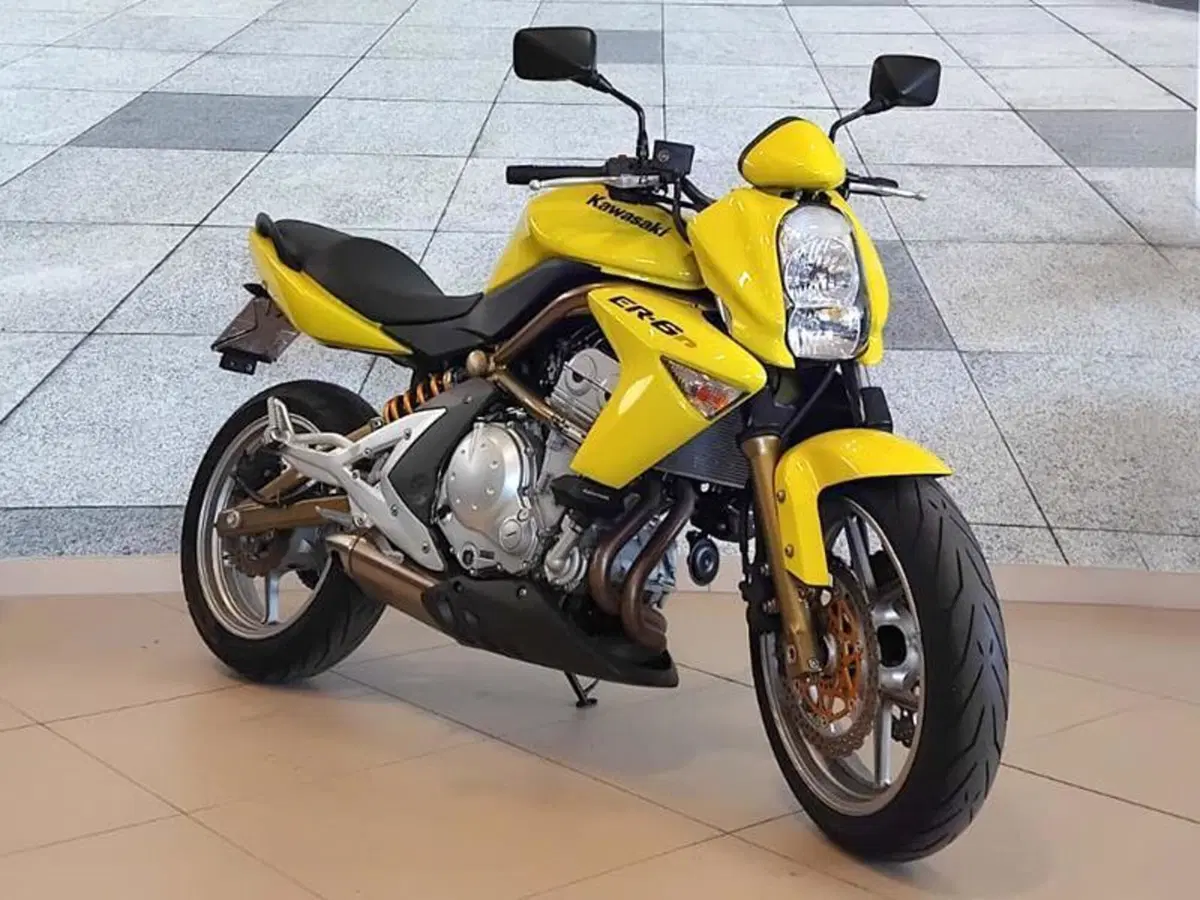 Kawasaki ER-6N (2005 - 08)