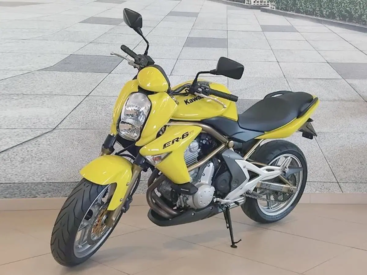 Kawasaki ER-6N (2005 - 08) (2)