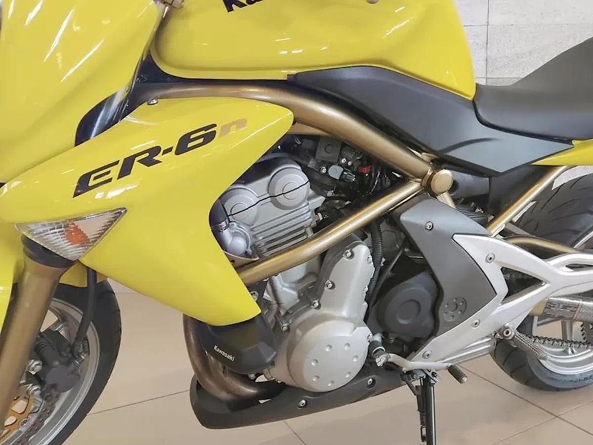 Kawasaki ER-6N (2005 - 08) (3)