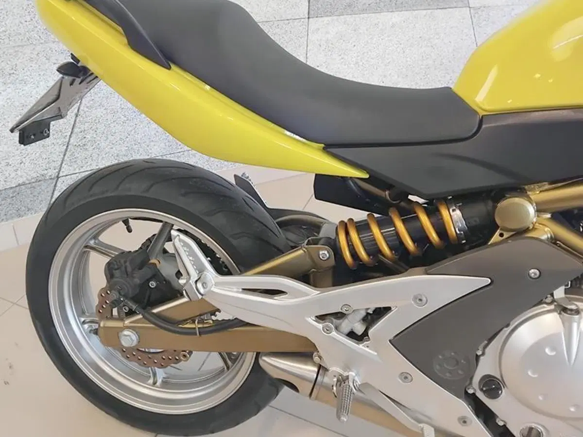 Kawasaki ER-6N (2005 - 08) (5)