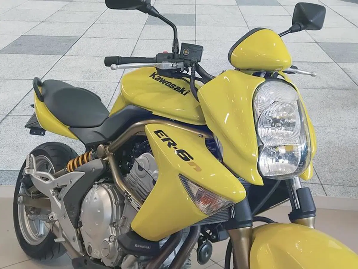 Kawasaki ER-6N (2005 - 08) (7)