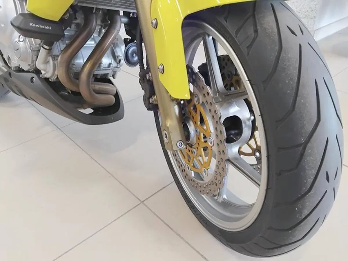 Kawasaki ER-6N (2005 - 08) (8)
