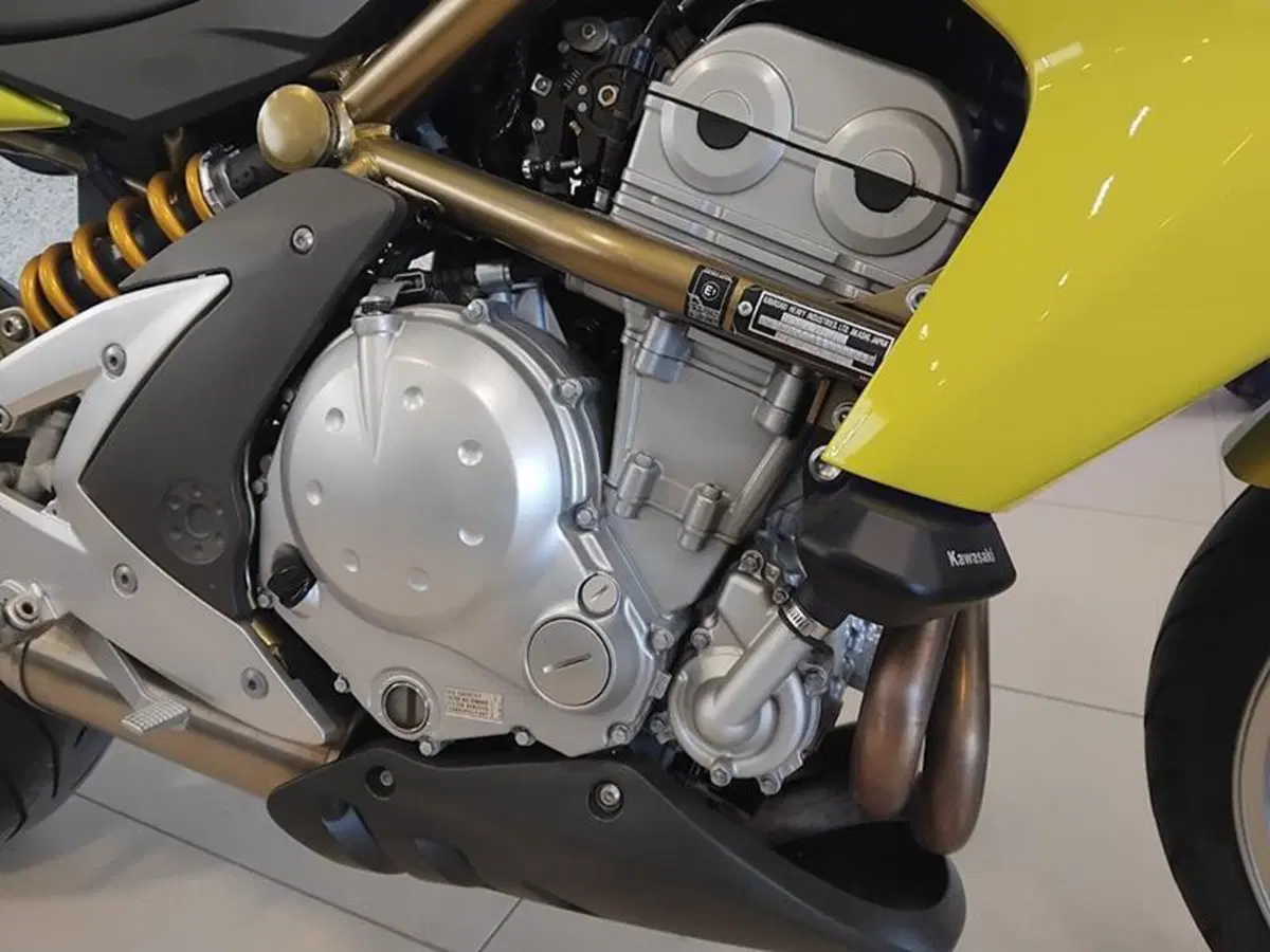 Kawasaki ER-6N (2005 - 08) (9)