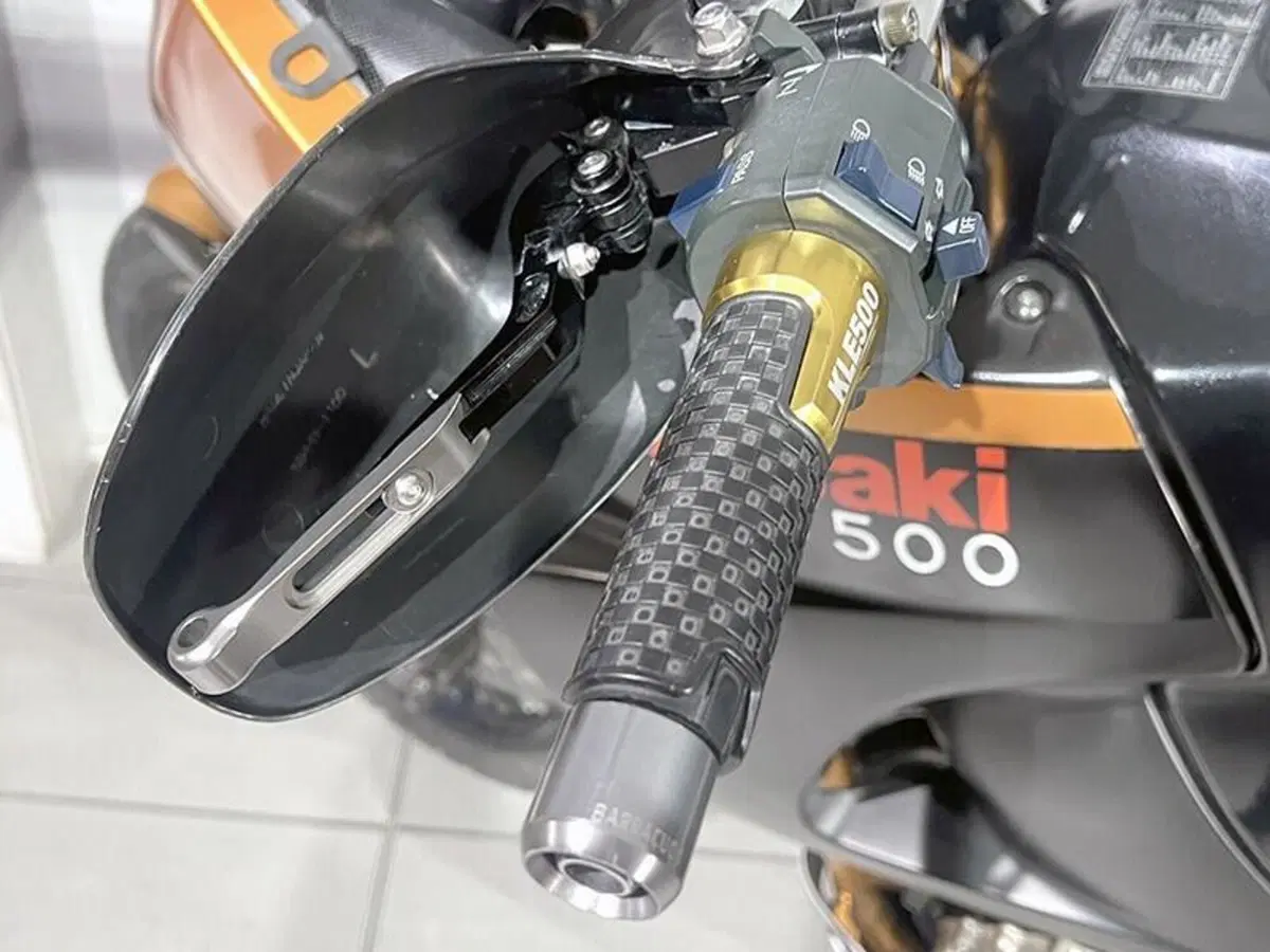 Kawasaki KLE 500 (2005 - 06) (4)