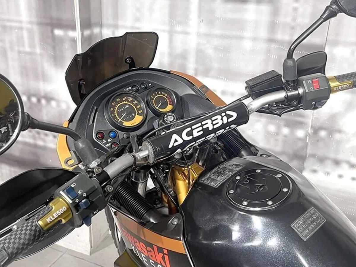 Kawasaki KLE 500 (2005 - 06) (6)