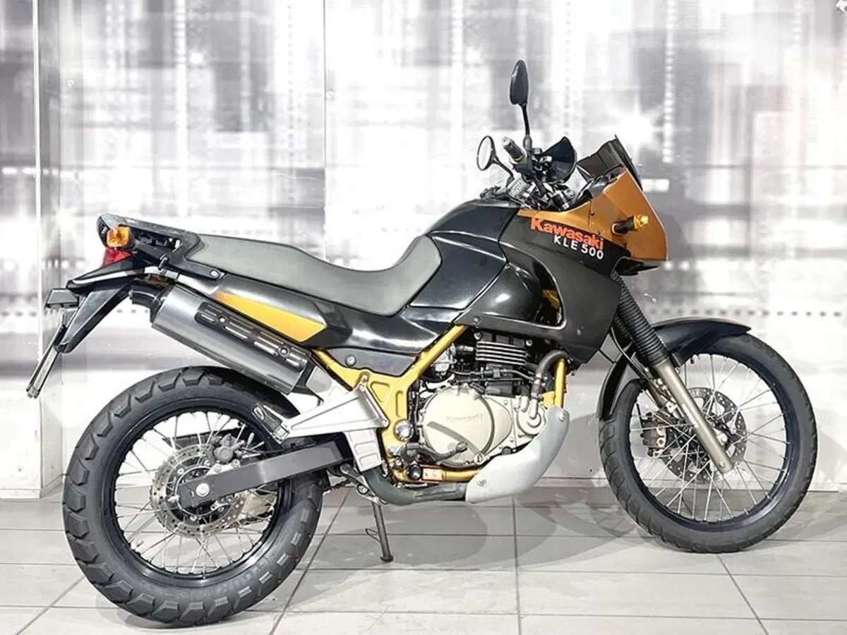 Kawasaki KLE 500 (2005 - 06) (8)