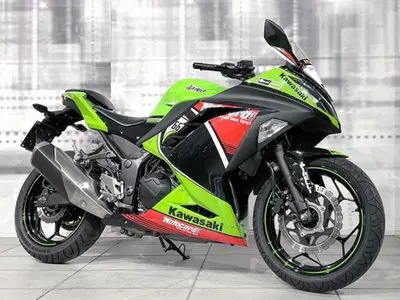 Kawasaki Ninja 300 ABS (2012 - 16) usata