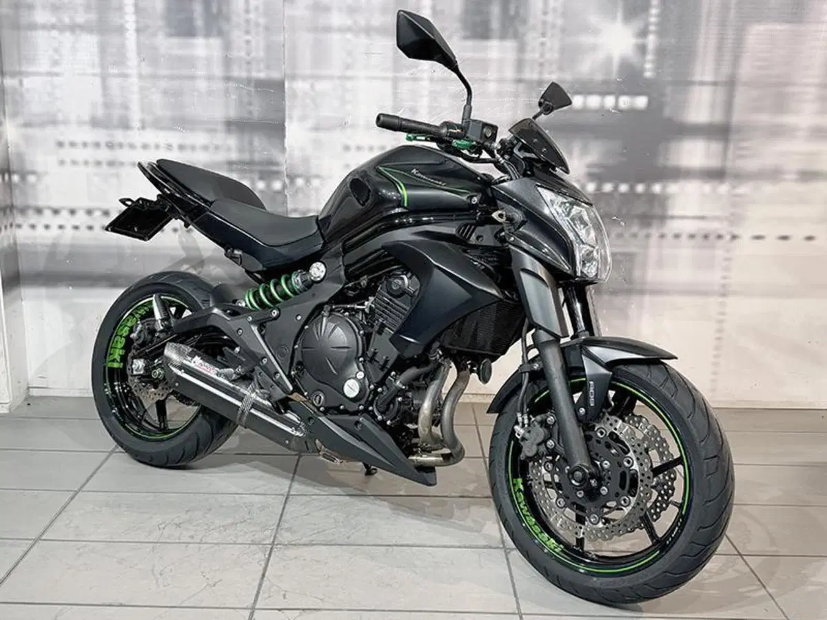 Kawasaki ER-6N ABS (2012 - 16)