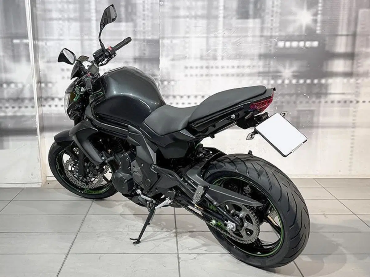 Kawasaki ER-6N ABS (2012 - 16) (2)