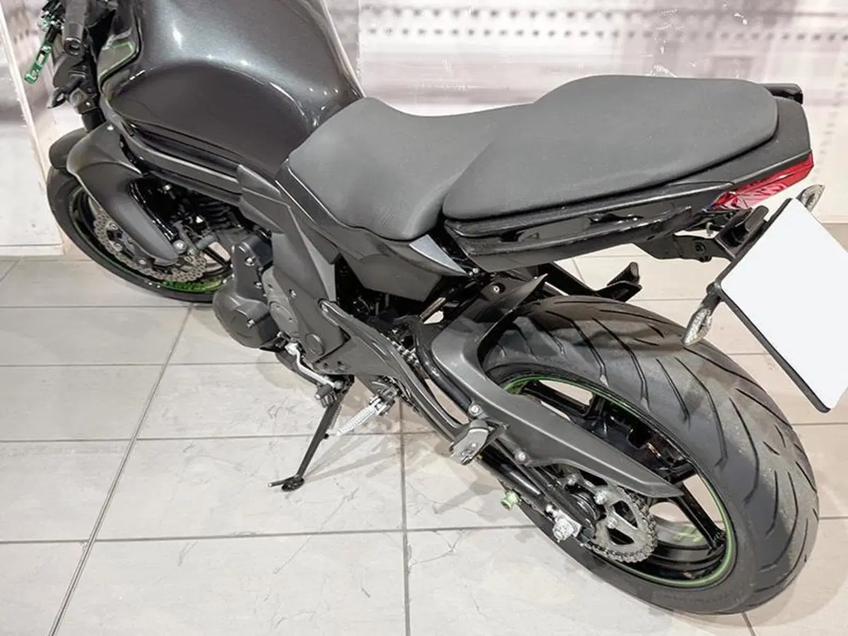 Kawasaki ER-6N ABS (2012 - 16) (3)