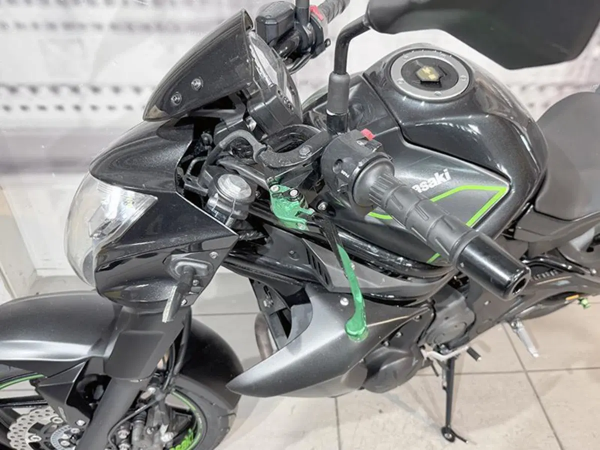 Kawasaki ER-6N ABS (2012 - 16) (4)