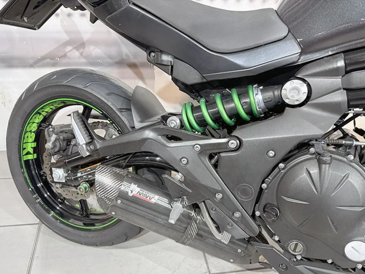 Kawasaki ER-6N ABS (2012 - 16) (5)