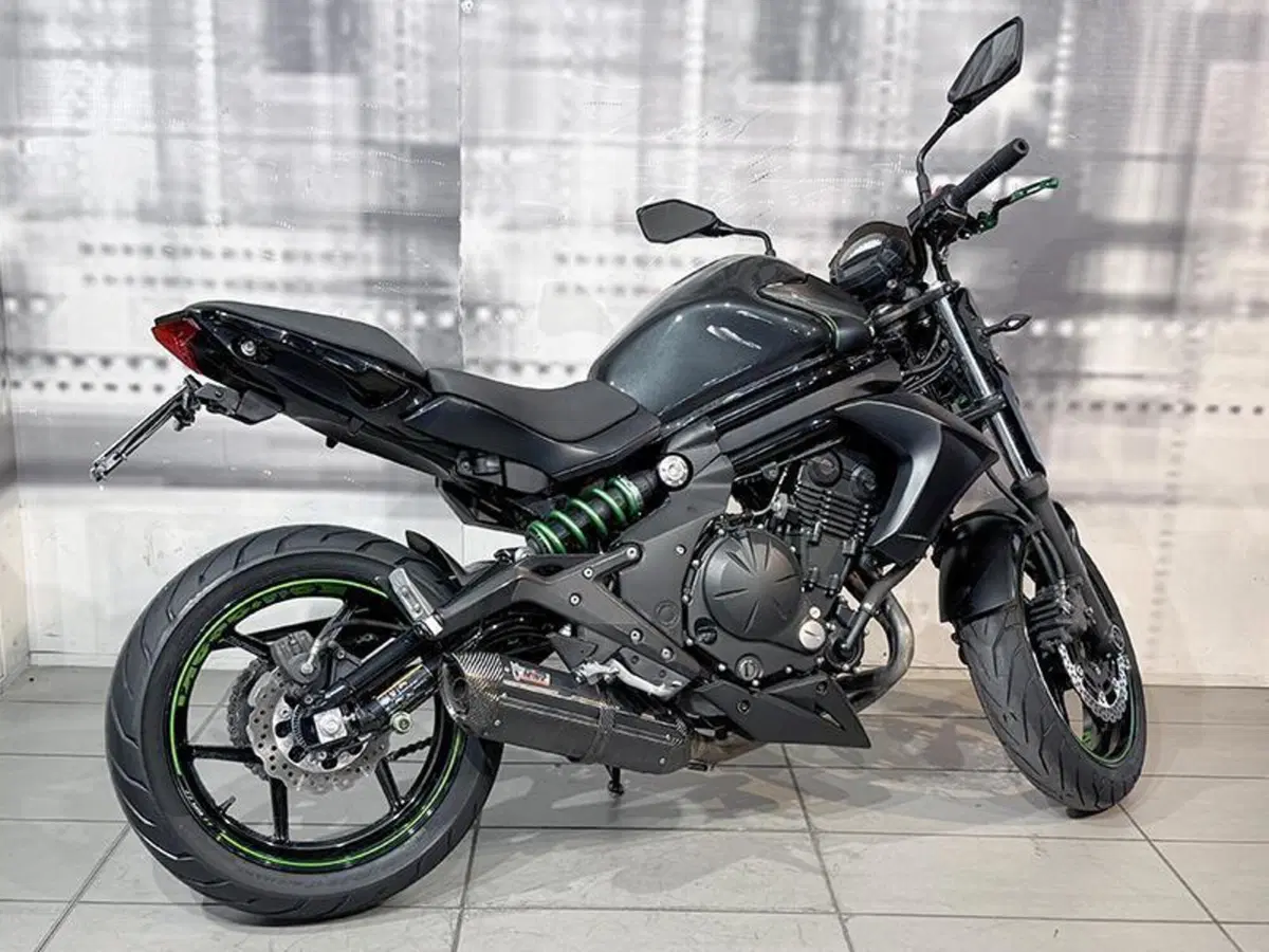 Kawasaki ER-6N ABS (2012 - 16) (8)