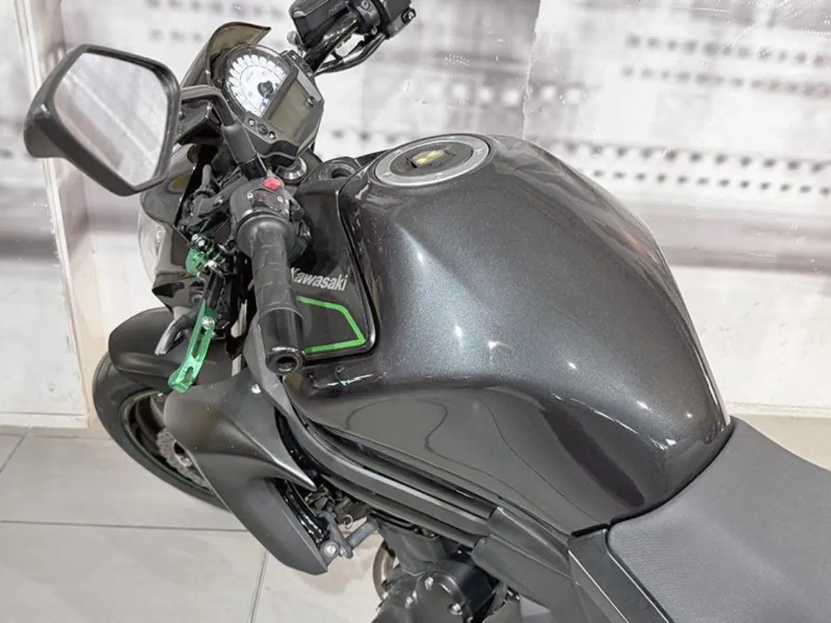 Kawasaki ER-6N ABS (2012 - 16) (9)