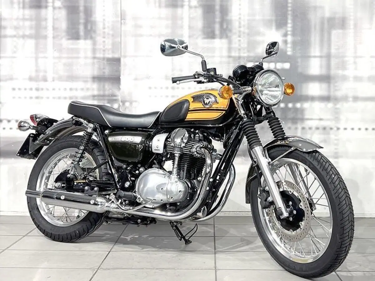 Kawasaki W 800 (2010 - 17)