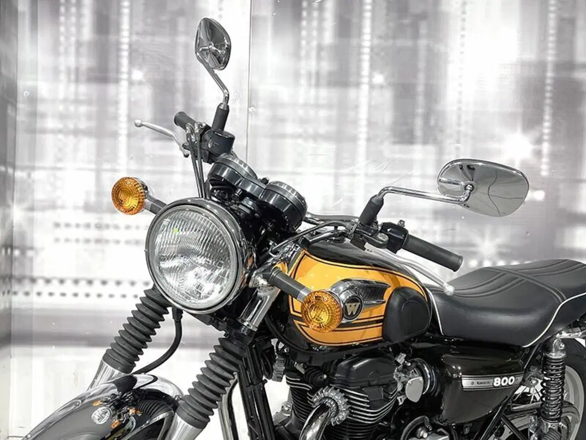 Kawasaki W 800 (2010 - 17) (8)