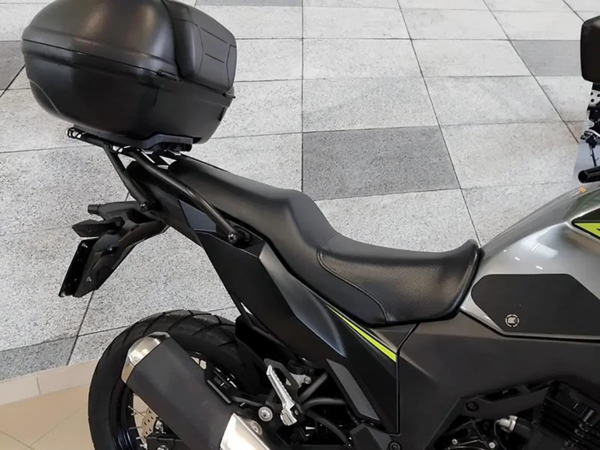 Kawasaki Versys-X 300 (2017 - 20) (4)